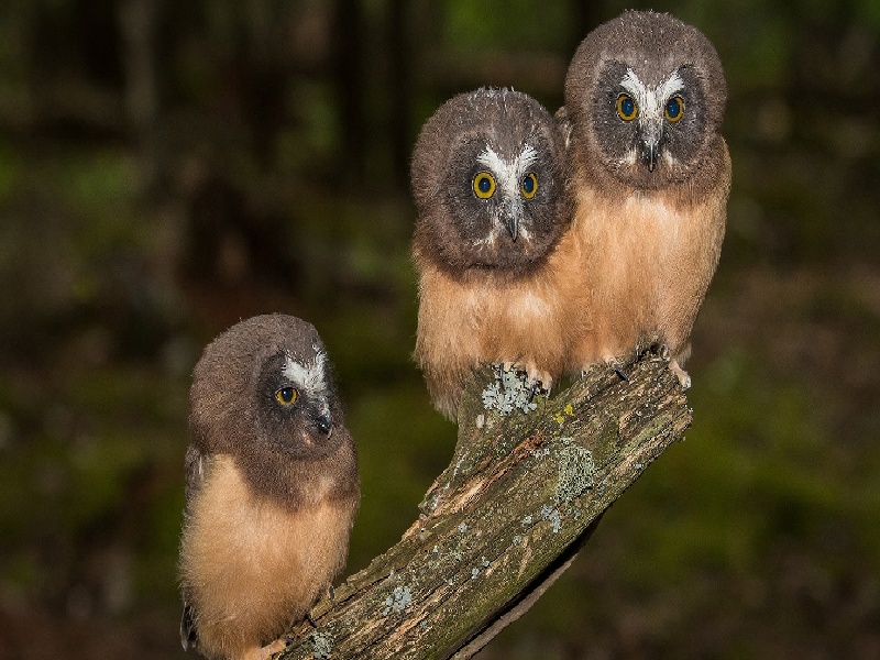 试管代孕医疗环境